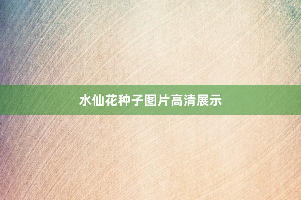 水仙花种子图片高清展示